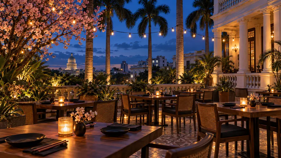 Terraza de Sabor Fusión al anochecer, con luces entre las palmas reales y un cerezo en flor